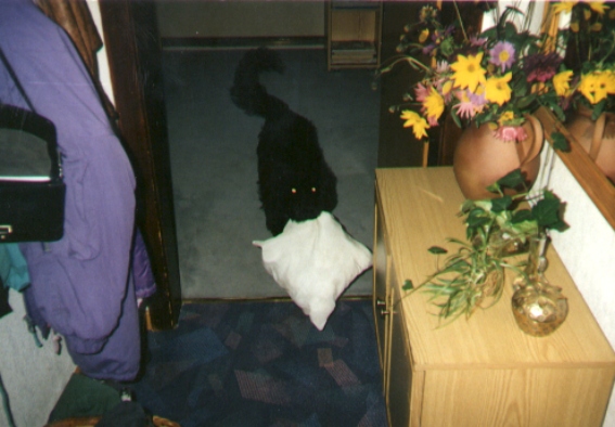 Gina+Kissen