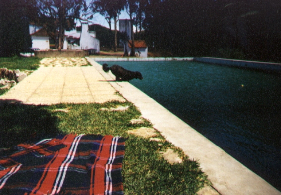 Gina+Pool2