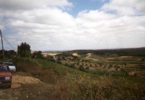 Aussicht6