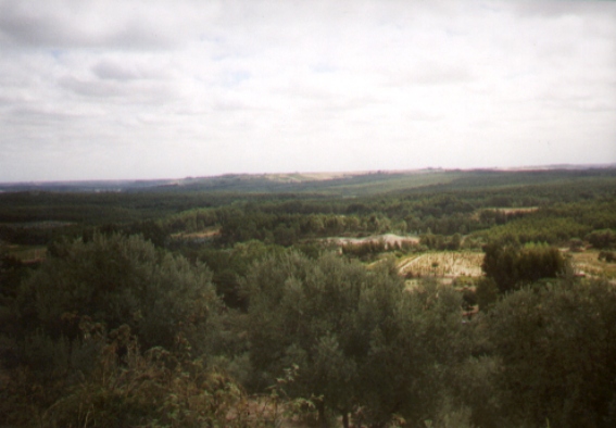 Aussicht9