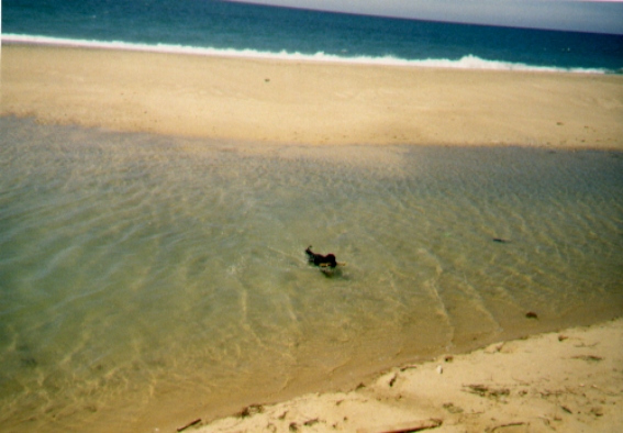 Strand5