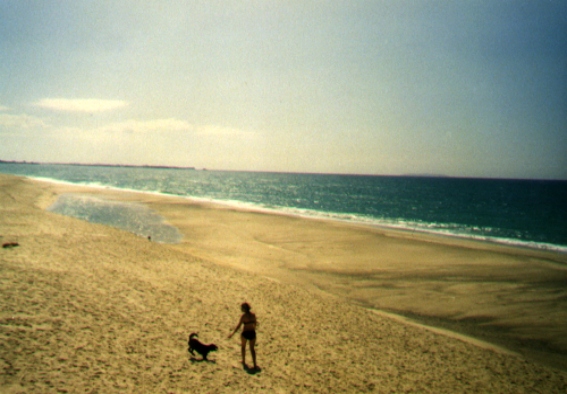 Strand6