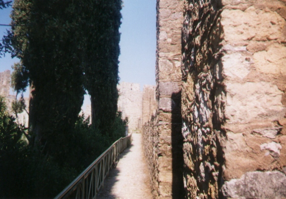 Tomar6